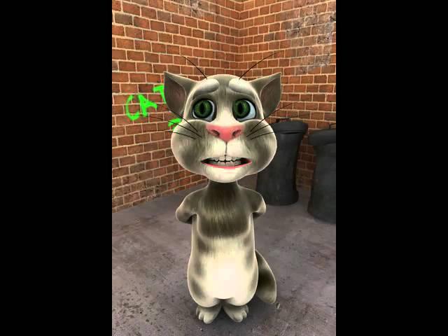 Talking Tom