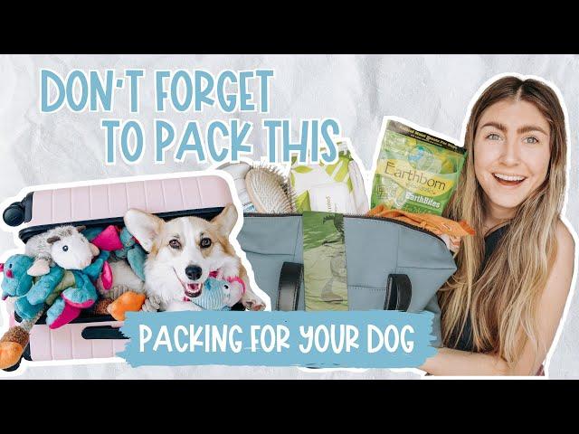 Essentials to Pack for Your Dog on a Trip | What to Pack for my Dog on Vacation