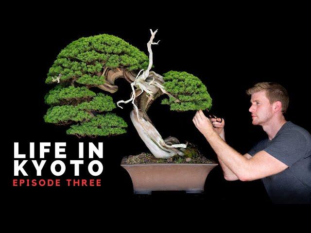 Kyoto Bonsai Garden Design and the Festival of Souls | Life in Kyoto | Ep. 3