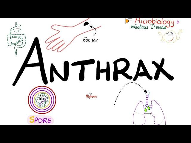 Anthrax - Causes, Symptoms, Diagnosis, Treatment - Bacillus anthracis - Microbiology 