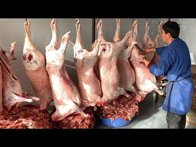 750 kg Tandoori Meat | Giant Tandoor | The most delicious meat | Uzbekistan