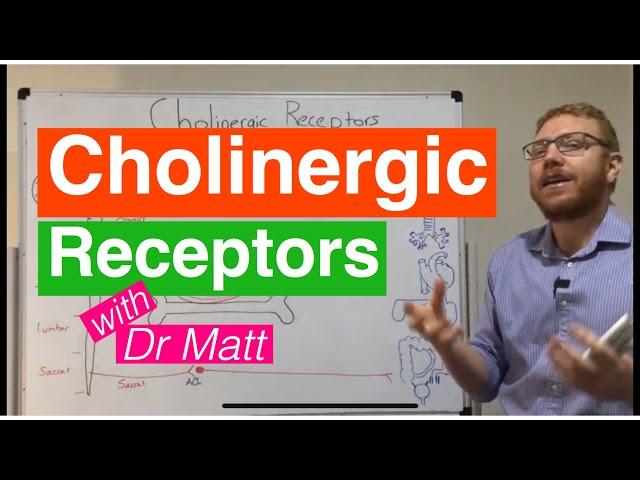 Cholinergic Receptors