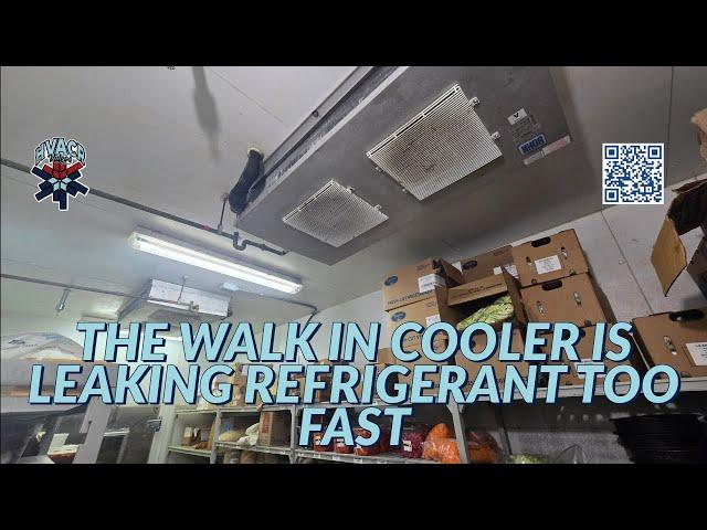 THE WALK IN COOLER IS LEAKING REFRIGERANT TOO FAST