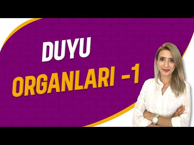 Duyu Organları -1 | Seda Hoca Biyoloji ( 5. Ders ) #sedahocabiyoloji #ayt2023