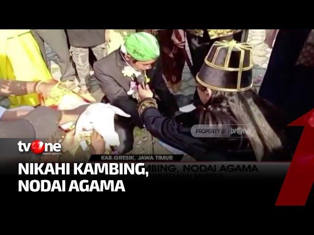 Viral Pria Gresik Menikah dengan Kambing, MUI Kab Gresik Minta Para Pelaku Bertaubat | Ragam Perkara