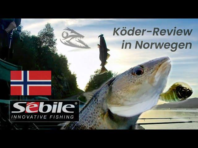 An unusual lure in Norway: Sebile Flatt Stick Shad - Review!