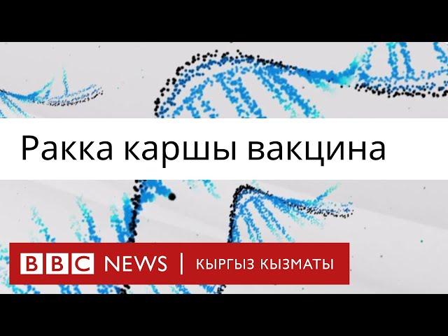 Ракка каршы жаңы вакцина сыноодон өтүүдө - BBC Kyrgyz