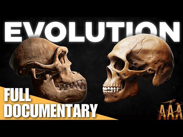 The Mind-Blowing Story of Human Evolution!