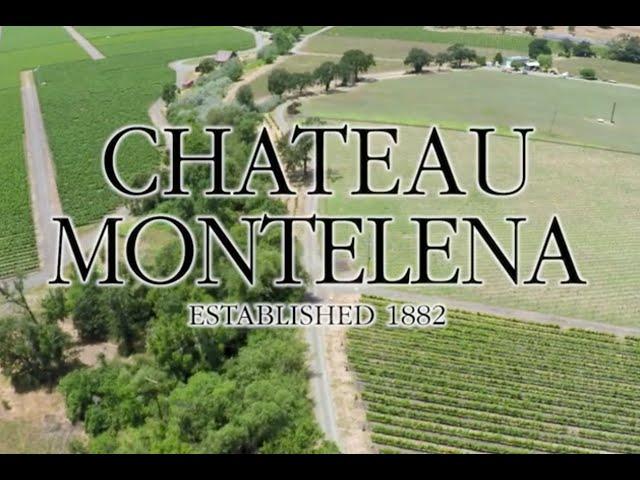 Chateau Montelena, Napa Valley, California, USA. Vineyards and drone