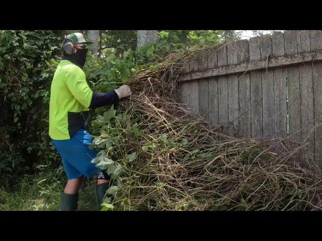 NEGLECTED property SAVED! Epic tall grass cutting