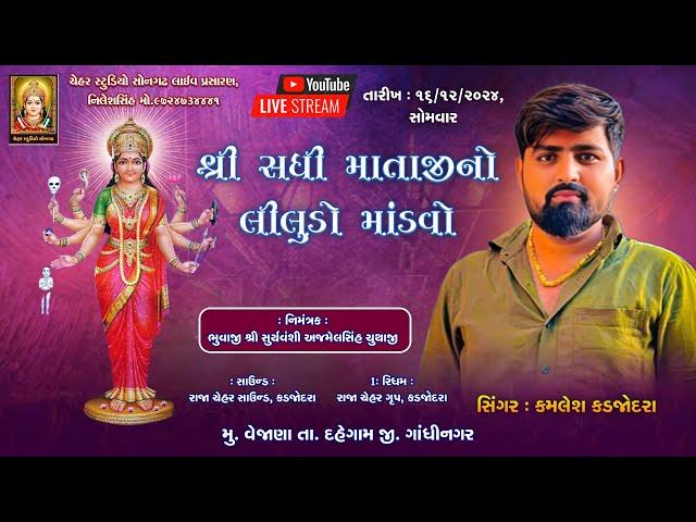 Kamlesh kadjodra # sadhi ma ni bhavya Ramel # 2024 new live