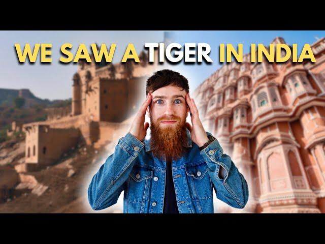 Golden Triangle of INDIA Part 2 | Ranthambore Tiger Safari and Jaipur