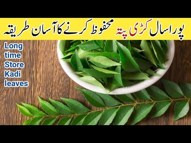 How to One Year Store Kadi leaves/ Pakistani food special ingredient Kadi Patta ko save Karne tareka