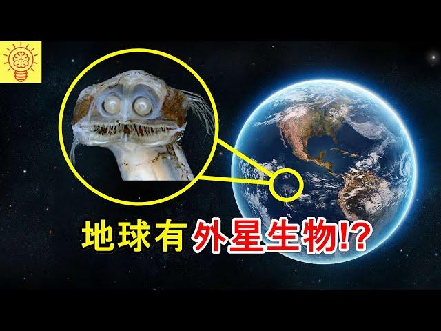 科學家發現這可能就是外星人的生物!