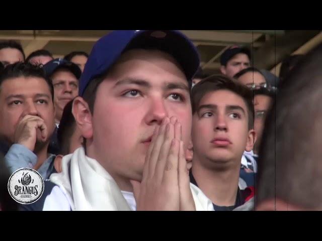 TIGRES CAMPEON APERTURA 2017