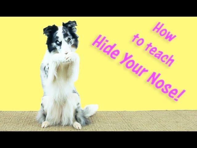 Cover Your Nose - Kikopup Dog Tricks Training