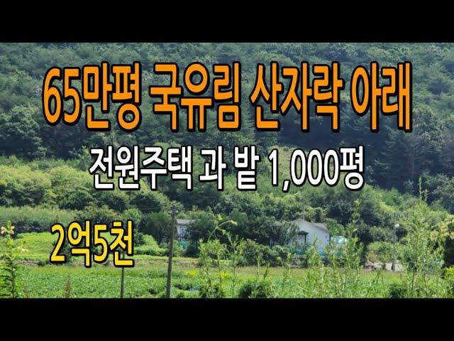 [급매]대지200평,밭800평,주택27평,별채11평  #충청도전원주택매매#괴산전원주택매매#괴산땅매매#전원주택매매#농가주택매매#청주부동산#충북토지매매#경기도땅매매