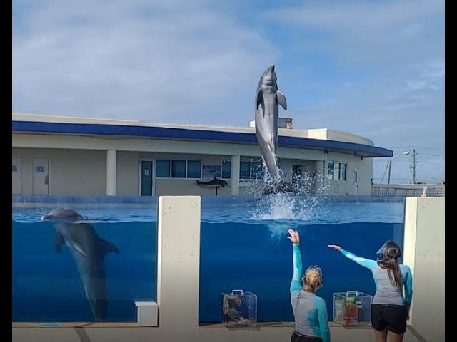 MarineLand Aquarium of Florida November 2020