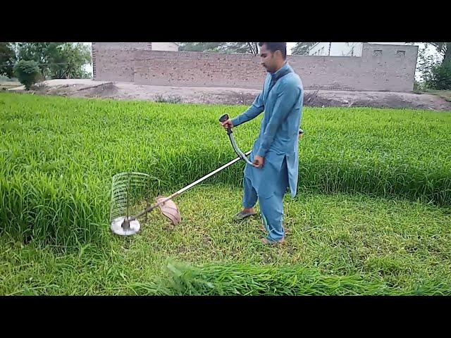 Grass cutting very fast by grass cutter||brush cutter +918950084431 (भारत/India)