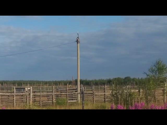 Поездка в Ловозеро Мурманская область