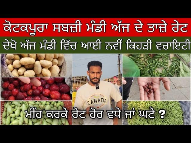 Fruits and Vegetables Market In Punjab | ਕੋਟਕਪੂਰਾ ਮੰਡੀ ਅੱਜ ਦੇ ਤਾਜ਼ਾ ਰੇਟ | ਅੱਜ ਮੰਡੀ ਚ ਆਈ ਨਵੀਂ ਵਰਾਇਟੀ।