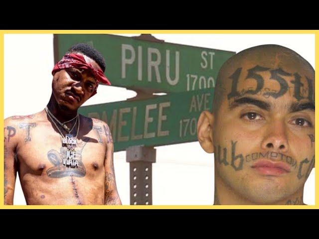 10 Most Dangerous Gangs in W/S Compton