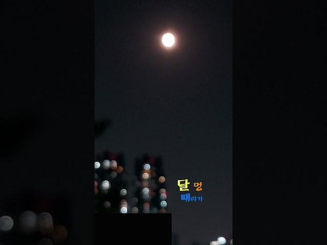 명상-도시의 달 멍 때리기. Meditation - Looking at the City Moon