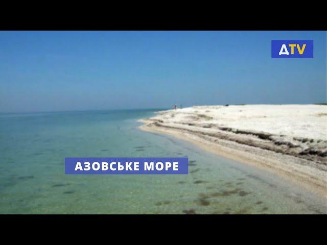 Азовське море | Твоя Донеччина