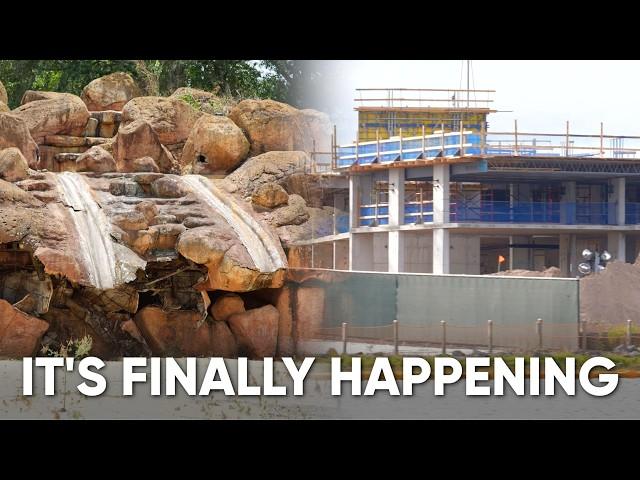 Disney's River Country 2025 Update