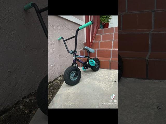 Fatboy Mini BMX