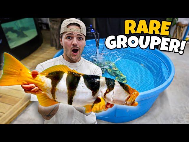 Buying SUPER RARE FISH for My SALTWATER POND!!