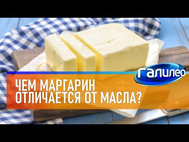 Галилео  Чем маргарин отличается от масла?