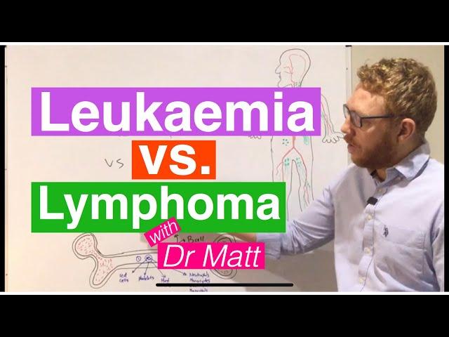 Leukaemia vs Lymphoma | An introduction