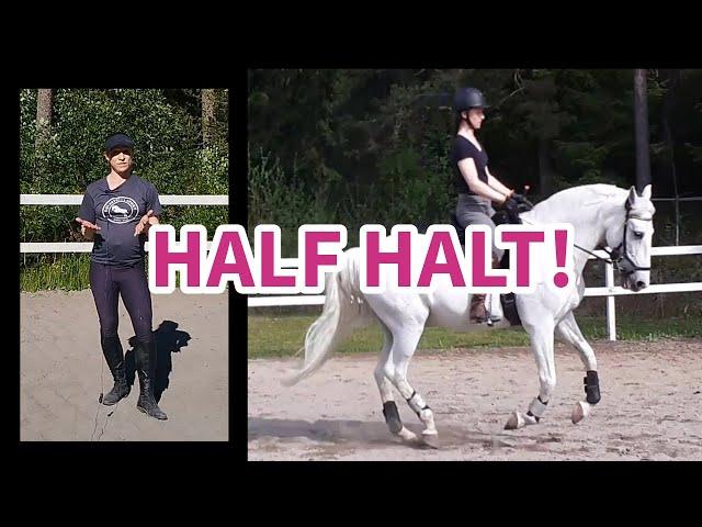 All about half halt! (What, Why, When, How?) #equestrian #horseriding #dressage