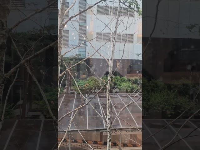 #가산디지털카페 #애월빵공장#비