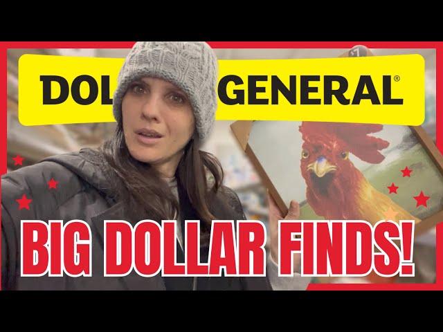 DOLLAR GENERAL SHOP WITH ME & HAUL | HIDDEN GEMS FOUND FOR A DOLLAR! | RUN TO GRAB THESE