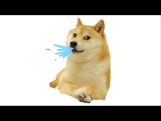 Dog says "Ara ara" meme
