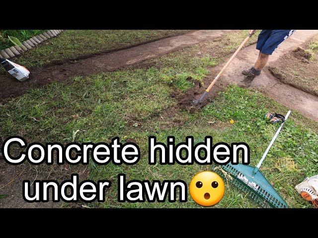 WORST YARD on the block is RESTORED! 4 videos in 1!