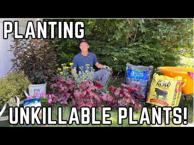 Planting INCREDIBLY LOW MAINTENANCE Shrubs and Perennials for Color!! | Joshua's Garden