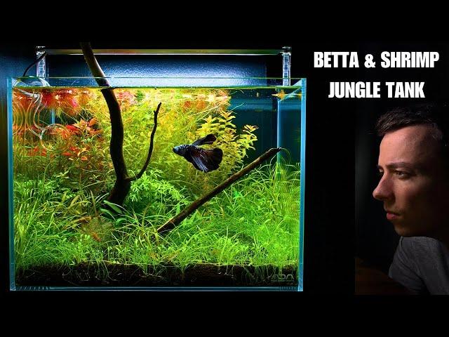 I MADE A MINI JUNGLE AQUASCAPE FOR MY BETTA & SHRIMP!