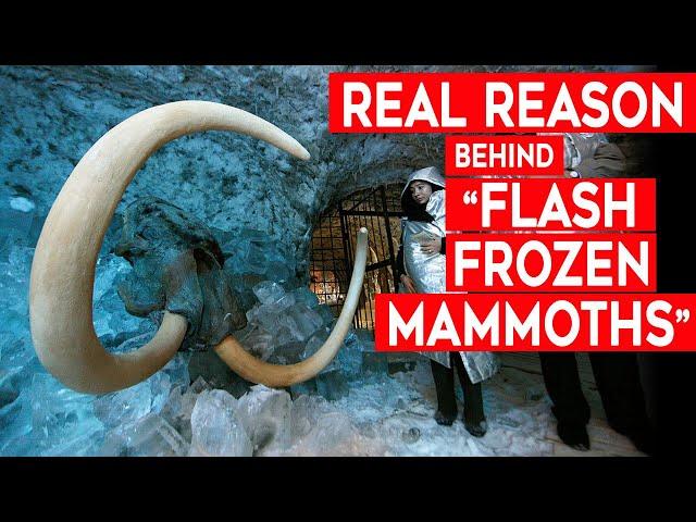 The Real Reason behind “Flash Frozen Mammoths”