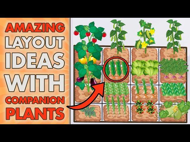 5 SQUARE FOOT GARDENING Layout Ideas With COMPANION PLANTS (Beginners - Get Inspired)