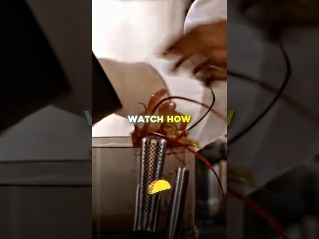 MasterChef Contestant Puts Lobster Inside Of Blender