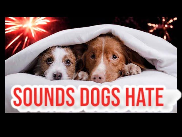 Sounds Dogs Hate PRANK YOUR DOG