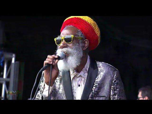 Don Carlos - Just A Passing Glance (Live at California Roots 2019)