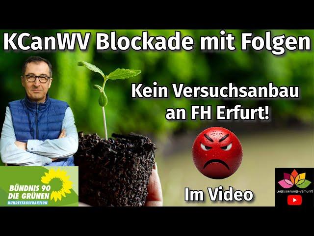 Grüne blockieren Konsumcannabis-Wissenschaftsverordnung KCanWV - kein Versuchsanbau der FH Erfurt!