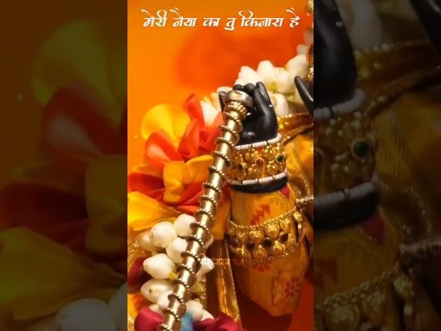 shri radharaman lal ️#vrindavan #shorts #brajwasi