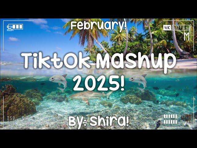 Tiktok Mashup 2025! 