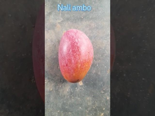 Nali ambo #viral#trending#comedyfilms#dance#Cute ambo# nali ambo