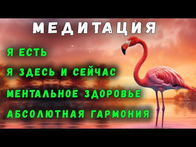 АБСОЛЮТНАЯ ГАРМОНИЯ | МЕДИТАЦИЯ | Я ЕСТЬ | Я ЗДЕСЬ И СЕЙЧАС | МЕНТАЛЬНОЕ ЗДОРОВЬЕ